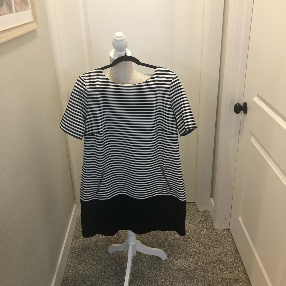 Wallis Dress size 14 NWT